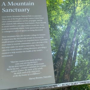 The Smokies is home to nearly 20,000 species of plants, fungi and wildlife and is the most visited national park in the United States. Our informed, professional tour guides will keep you entertained as you enjoy the uniqueness of our area.