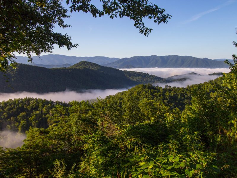 Enjoy a misty Smoky Mountain sunrise. Mist in the valley of the Great Smoky Mountains National Park as seen from the recently opened portion of the Foothills Parkway in Wears Valley, Tennessee.