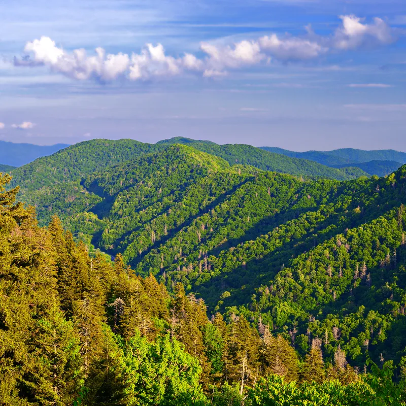 Newfound Gap in the Smoky Mountains near Gatlinburg, Tennessee.