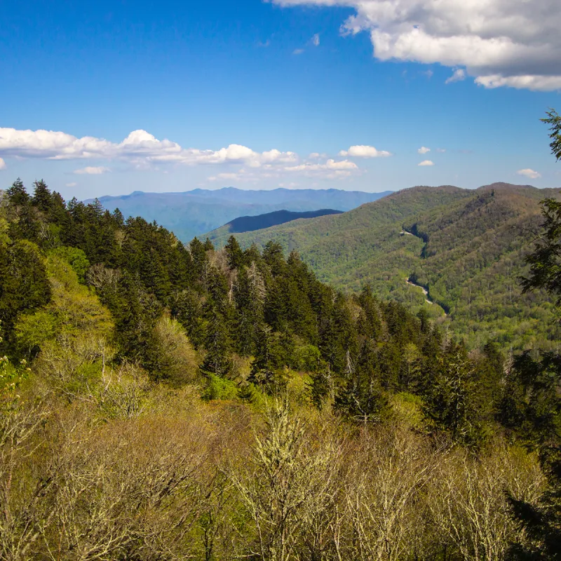 Newfound Gap Road Winds Through Smoky Mountains National Park.