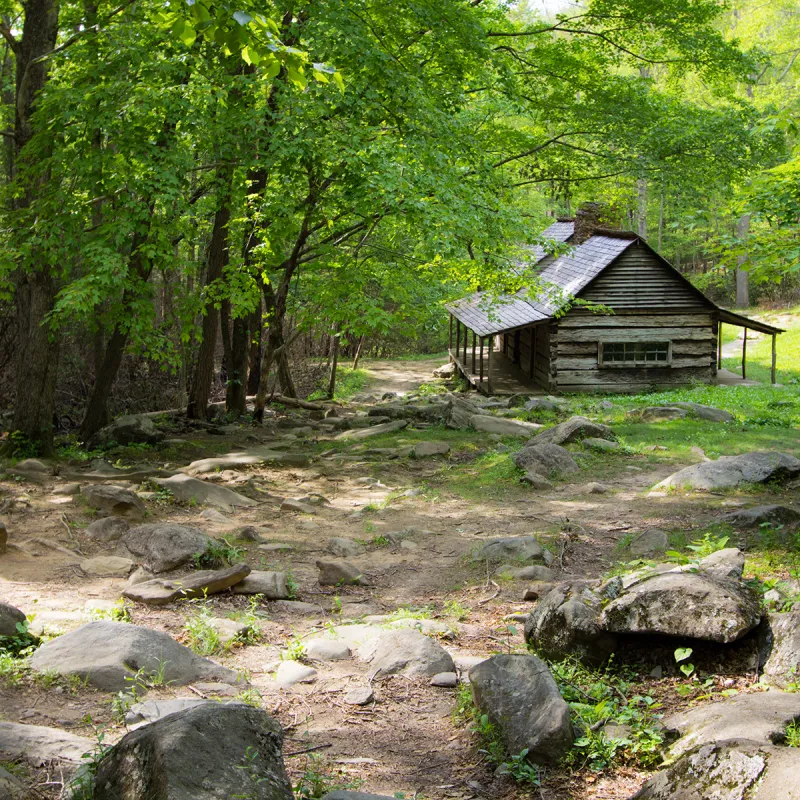 Ogle Historic Mountain Cabin Along The Roaring Fork Motor Nature Trail.