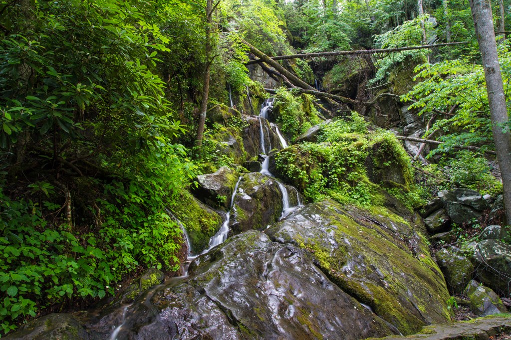 Place Of A Thousand Drips On Roaring Fork Motor Nature Trail.