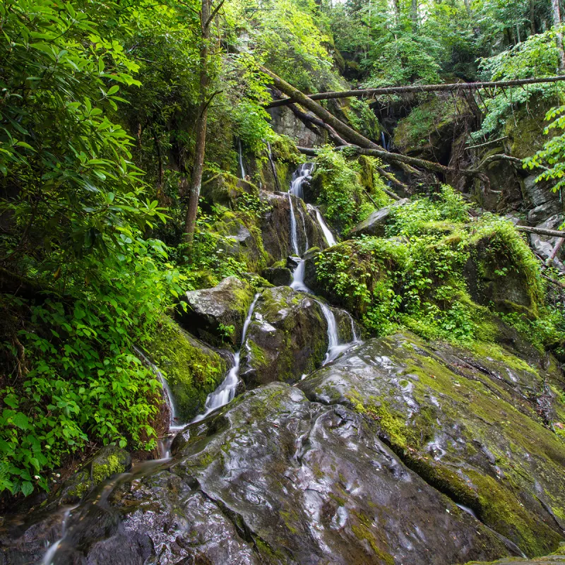 Place Of A Thousand Drips On Roaring Fork Motor Nature Trail.