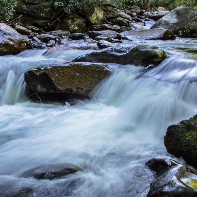 Roaring Fork River Rushes Through The Smoky Mountains National Park.