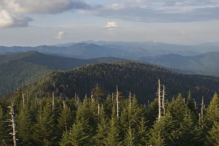 Smoky Mountains Newfound Gap Tour