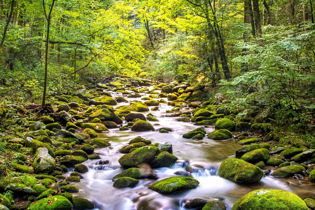 Water stream flowing along the Roaring Fork Motor Nature Trail in the Great Smoky Mountain National Park