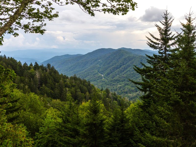 Summer at the Great Smoky Mountains National Park on the Foothills Parkway in Wears Valley, Tennessee.