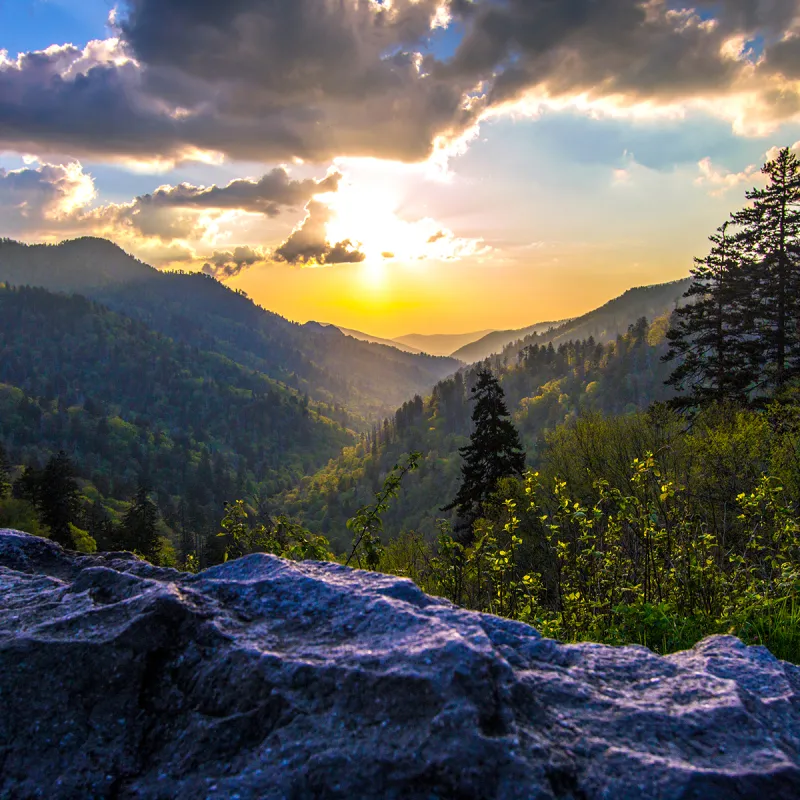 Sunrise On Newfound Gap Road