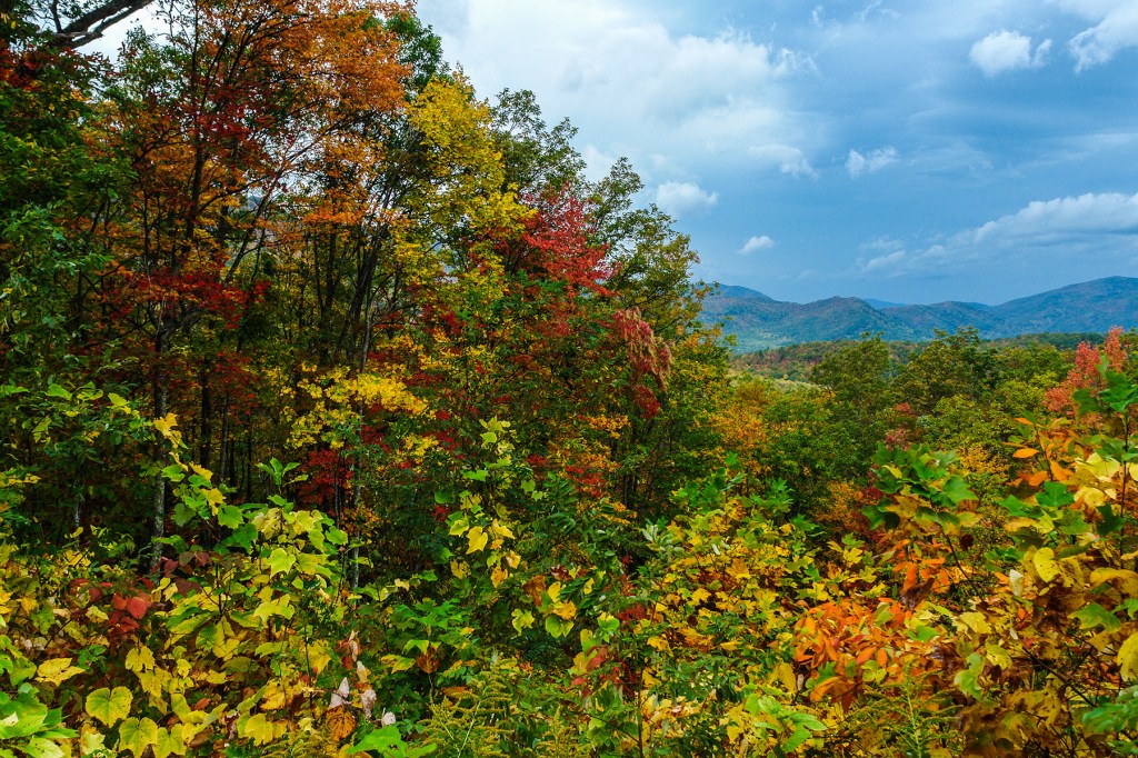 Roaring Fork Motor Nature Trail Views in Great Smoky Mountains National Park in Tennessee United States.