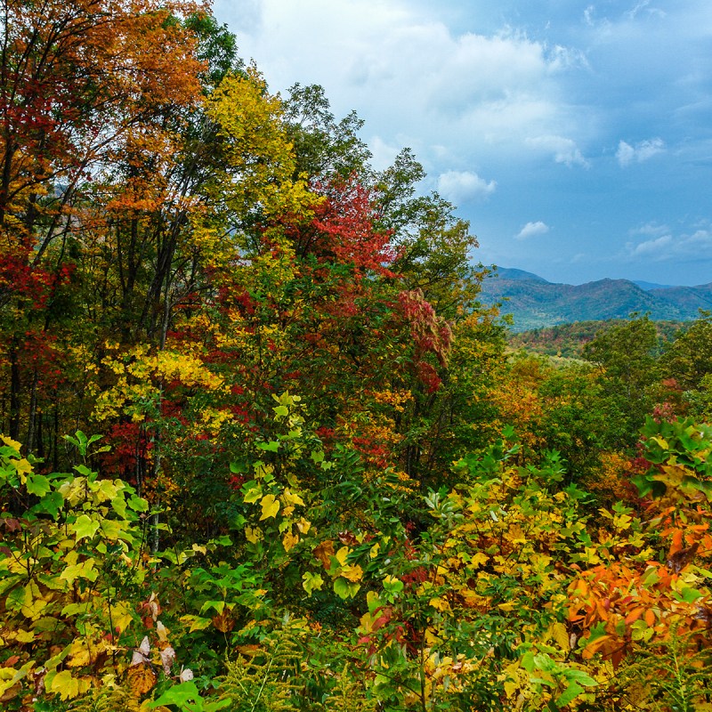 Roaring Fork Motor Nature Trail Views in Great Smoky Mountains National Park in Tennessee United States.