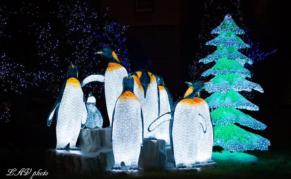 Lights, Lights and More Light displays during Winterfest in Gatlinburg and Pigeon Forge.