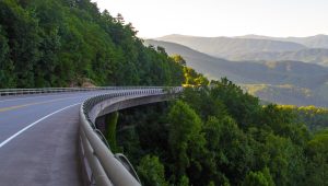a train traveling down train tracks near a forest