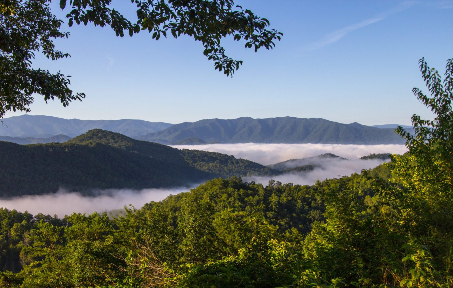 Misty Smoky Mountains Sunrise in the Great Smoky Mountains National Park
