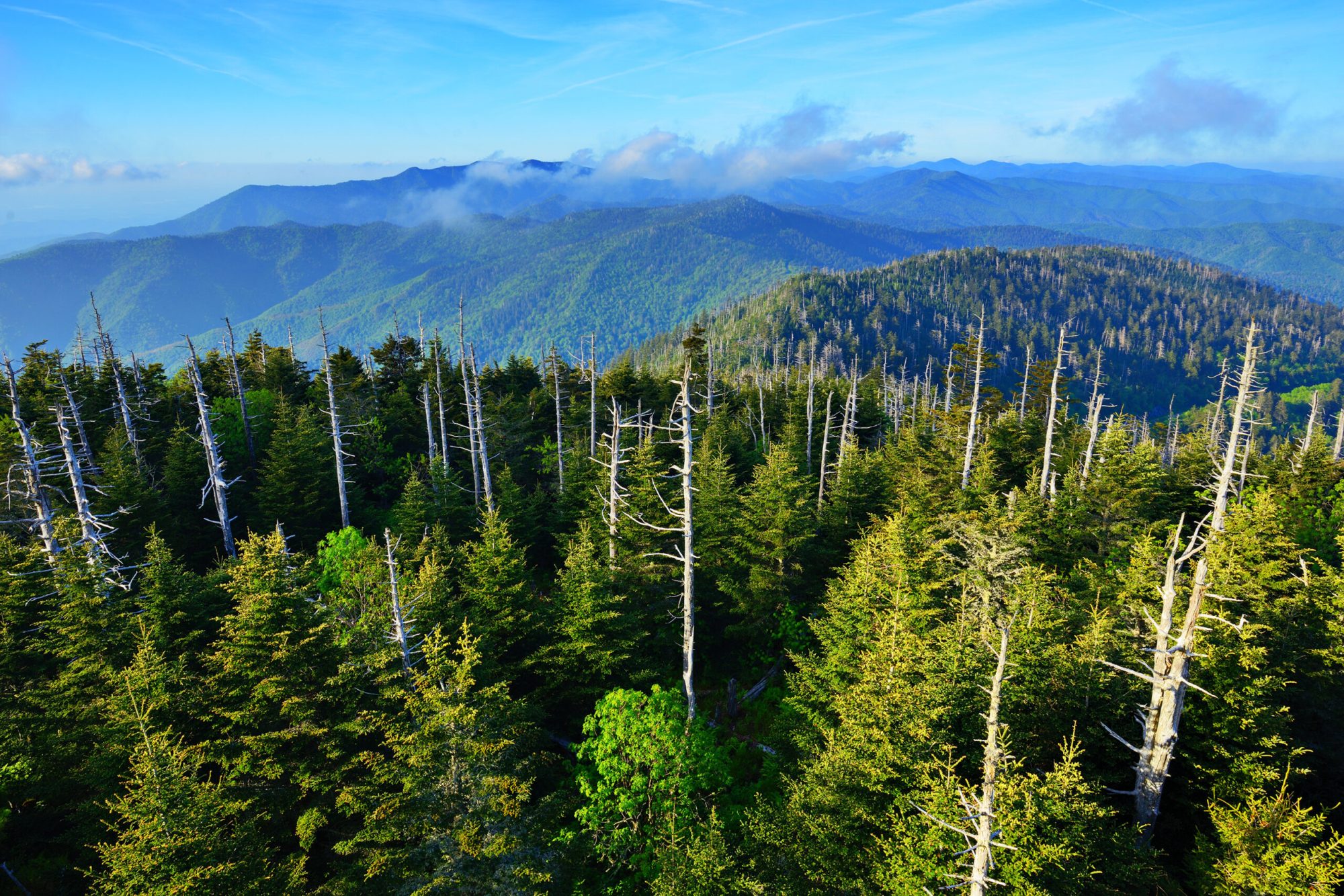 View from the observation deck of Clingmans Dome Newfound Gap in the Smoky Mountains. View from the observation deck of Clingmans Dome Newfound Gap in the Smoky Mountains.