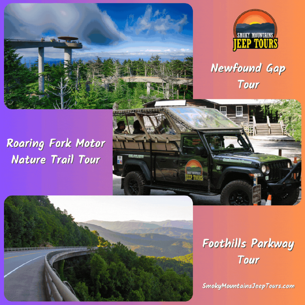 Smoky Mountains Jeep Tours offers guided adventure tours in Cades Cove, Foothills Parkway, Newfound Gap, and Roaring Fork Motor Nature Trail.