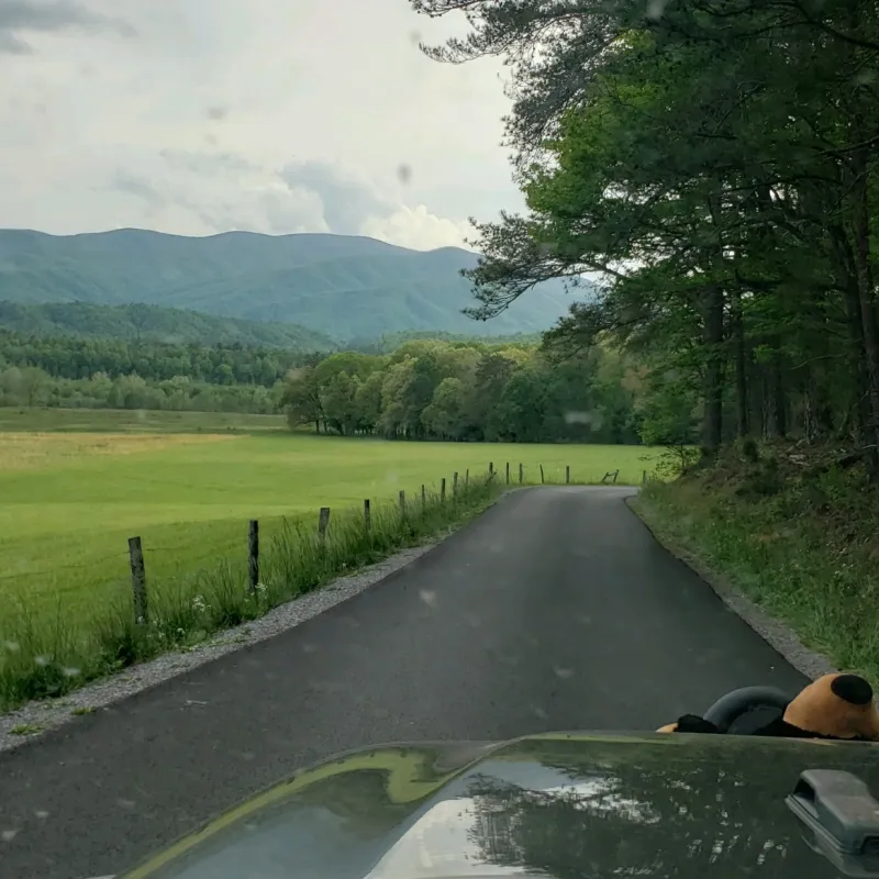 Cades Cove Specialty Tour
