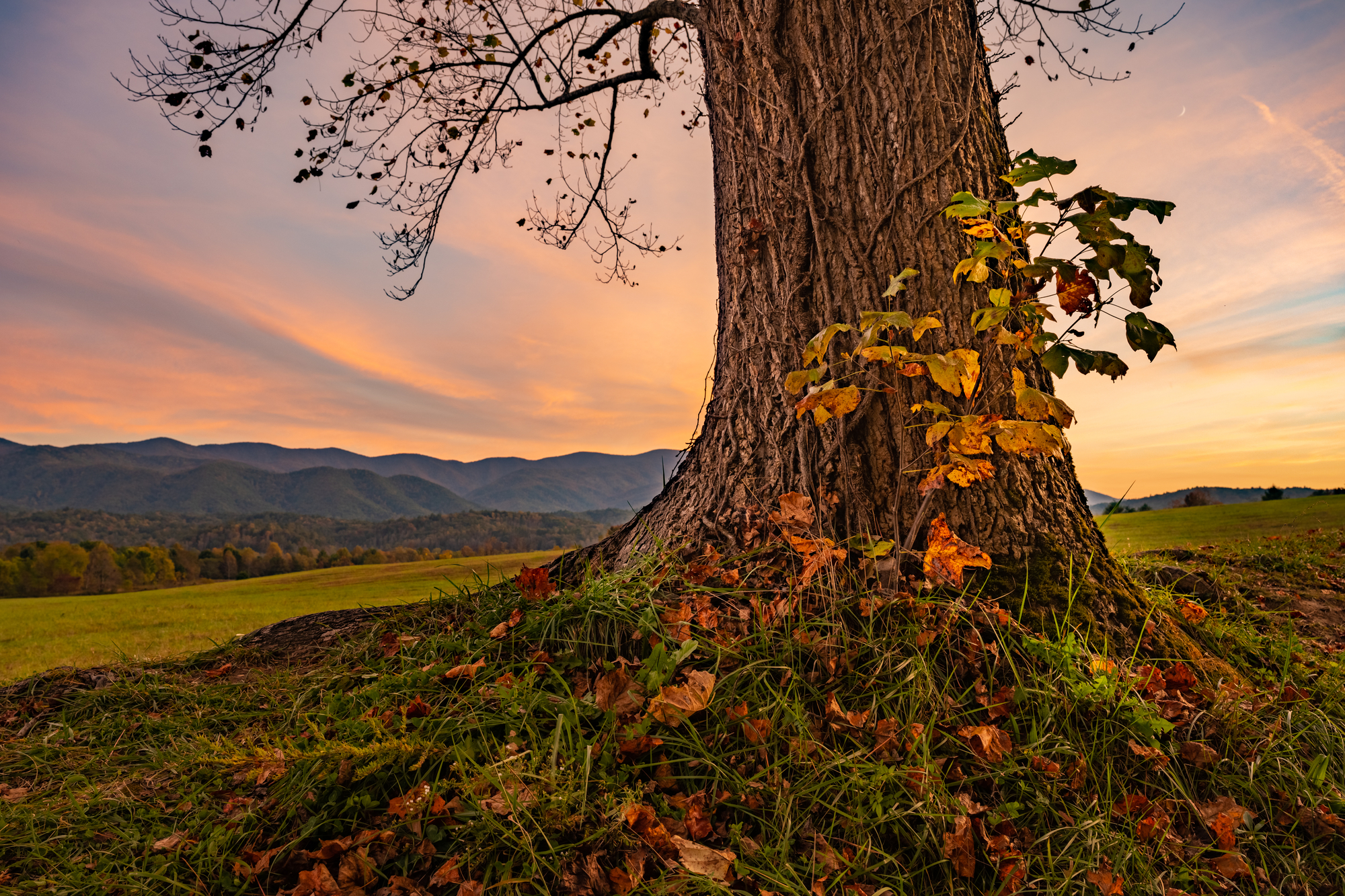 Sunset at Cades Cove in the Great Smoky Mountains National Park Sunset at Cades Cove in the Great Smoky Mountains National Park
