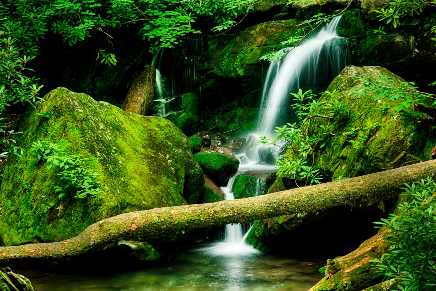 Grotto Falls in the Great Smoky Mountain National Park