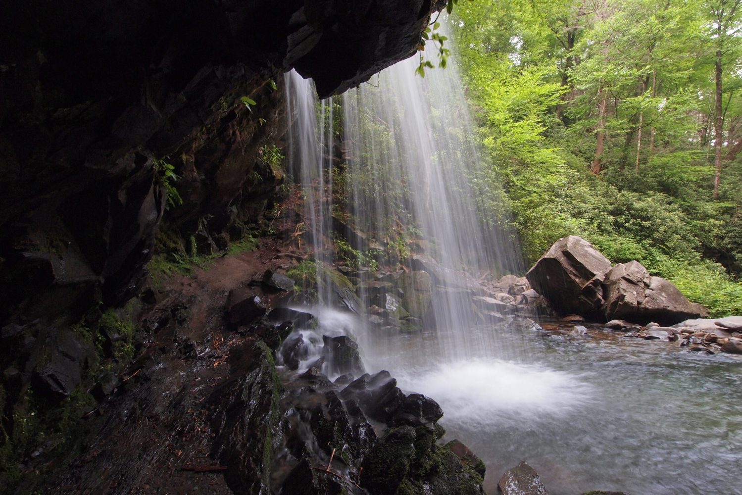 Grotto Falls in early summer in the Great Smoky Mountains National Park, Tennessee.