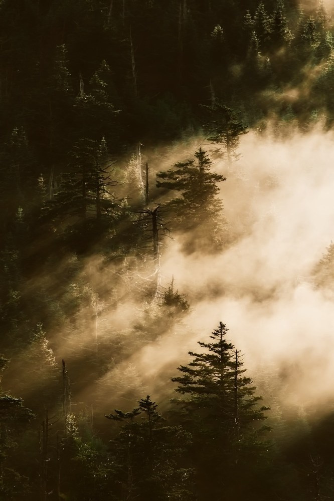 View of the smoky mountains in the Great Smoky Mountains National Park